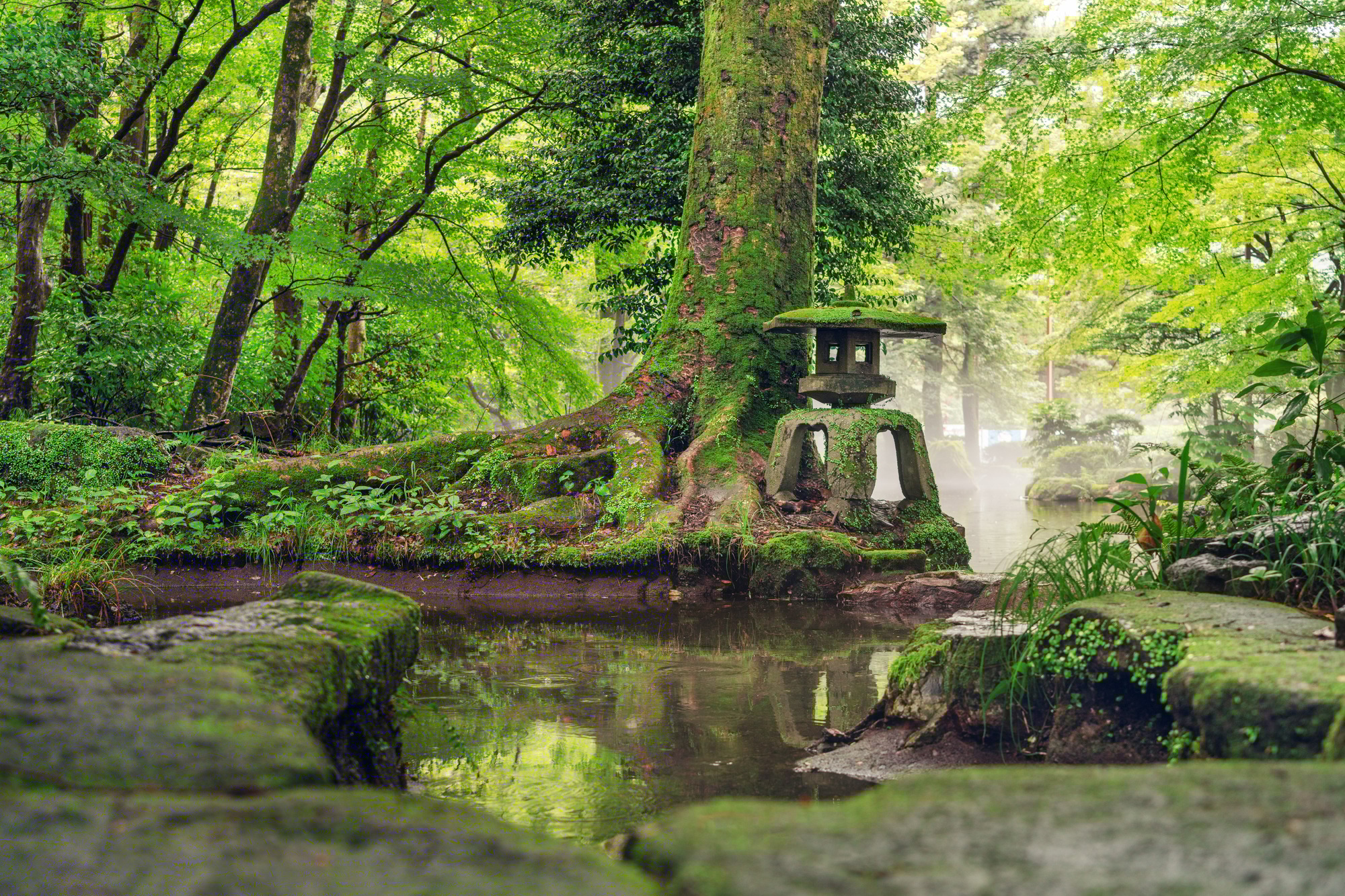 Gifu Prefecture
