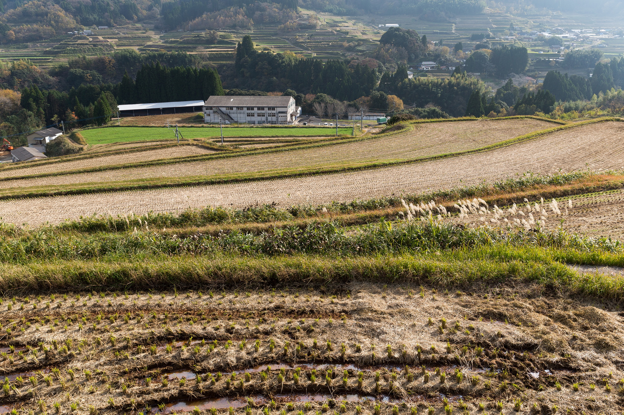 Niigata Prefecture
