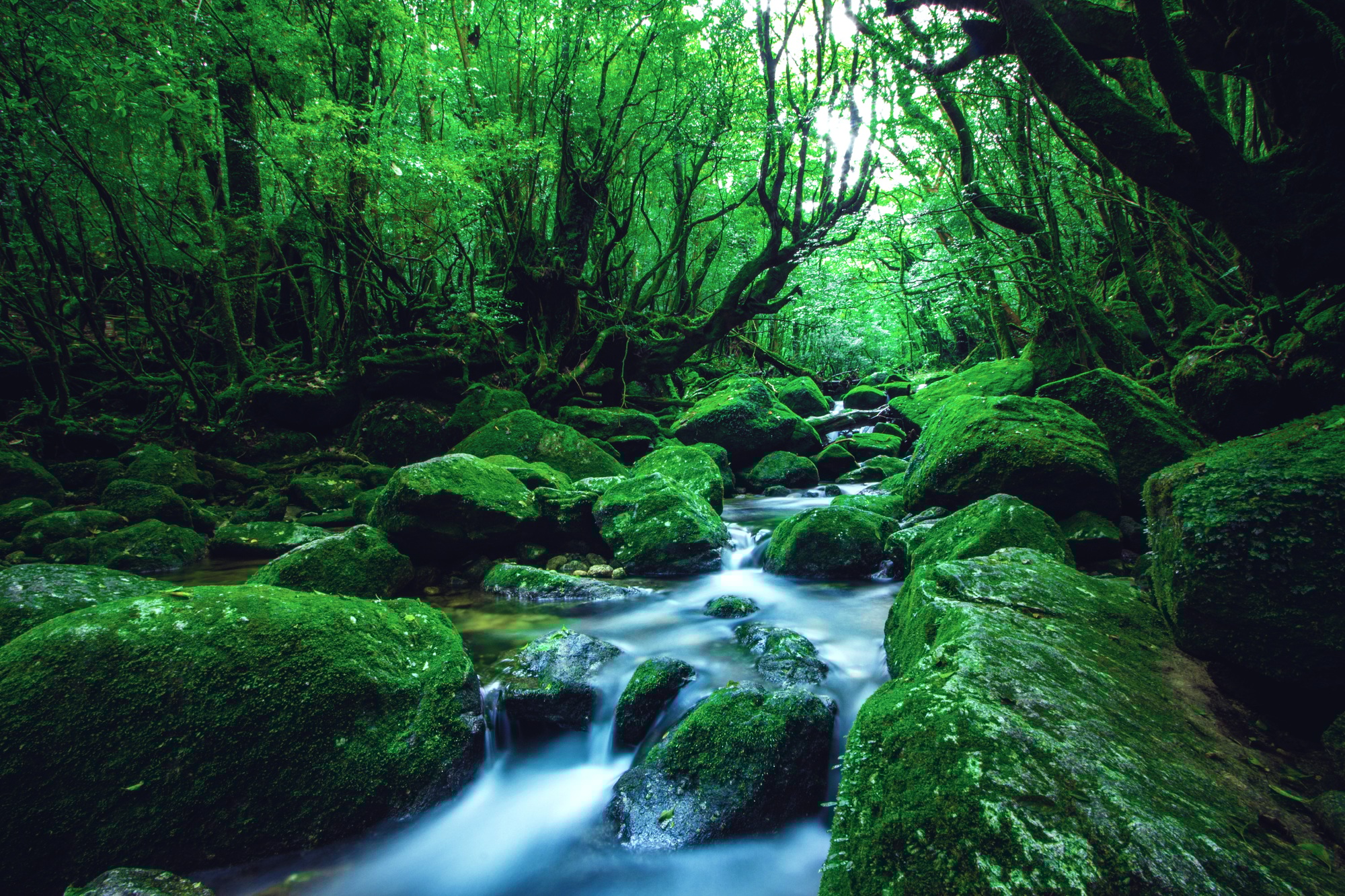 Kagoshima Prefecture