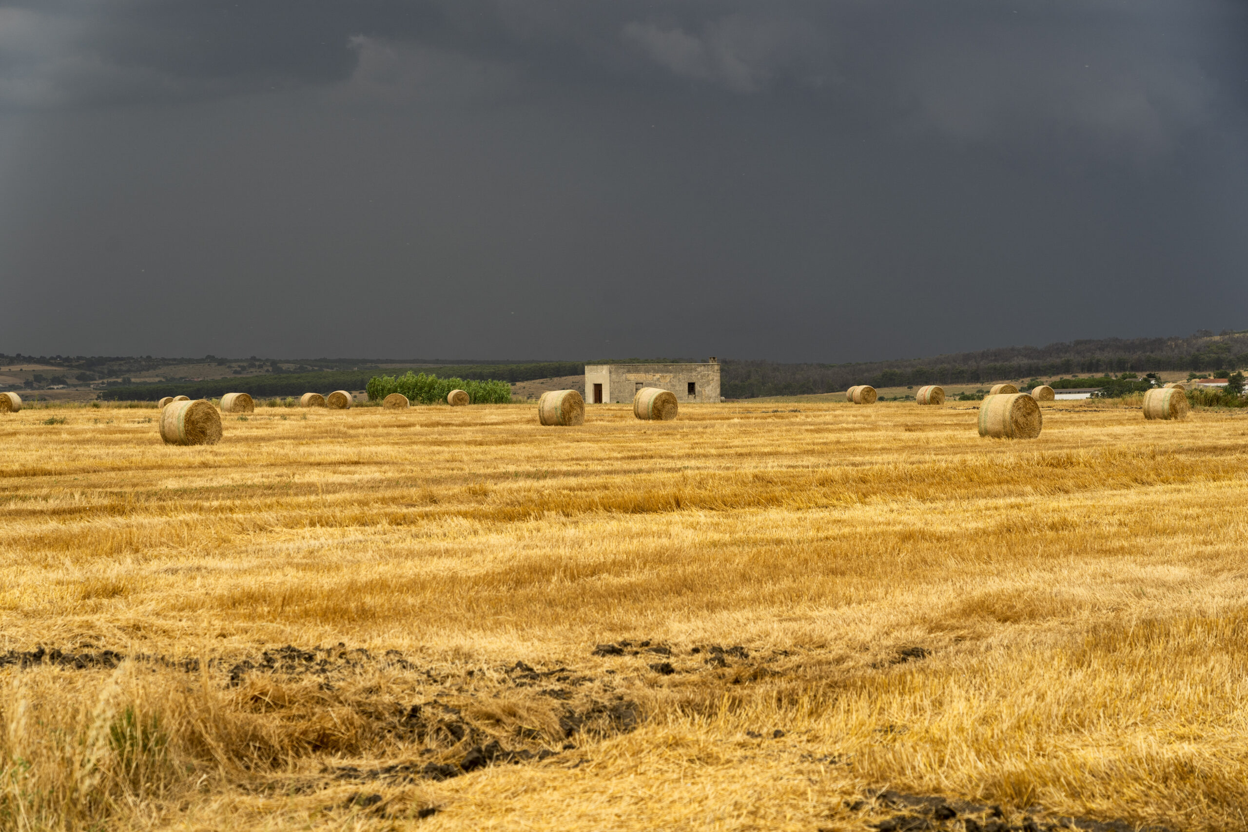 Cyprus Weather