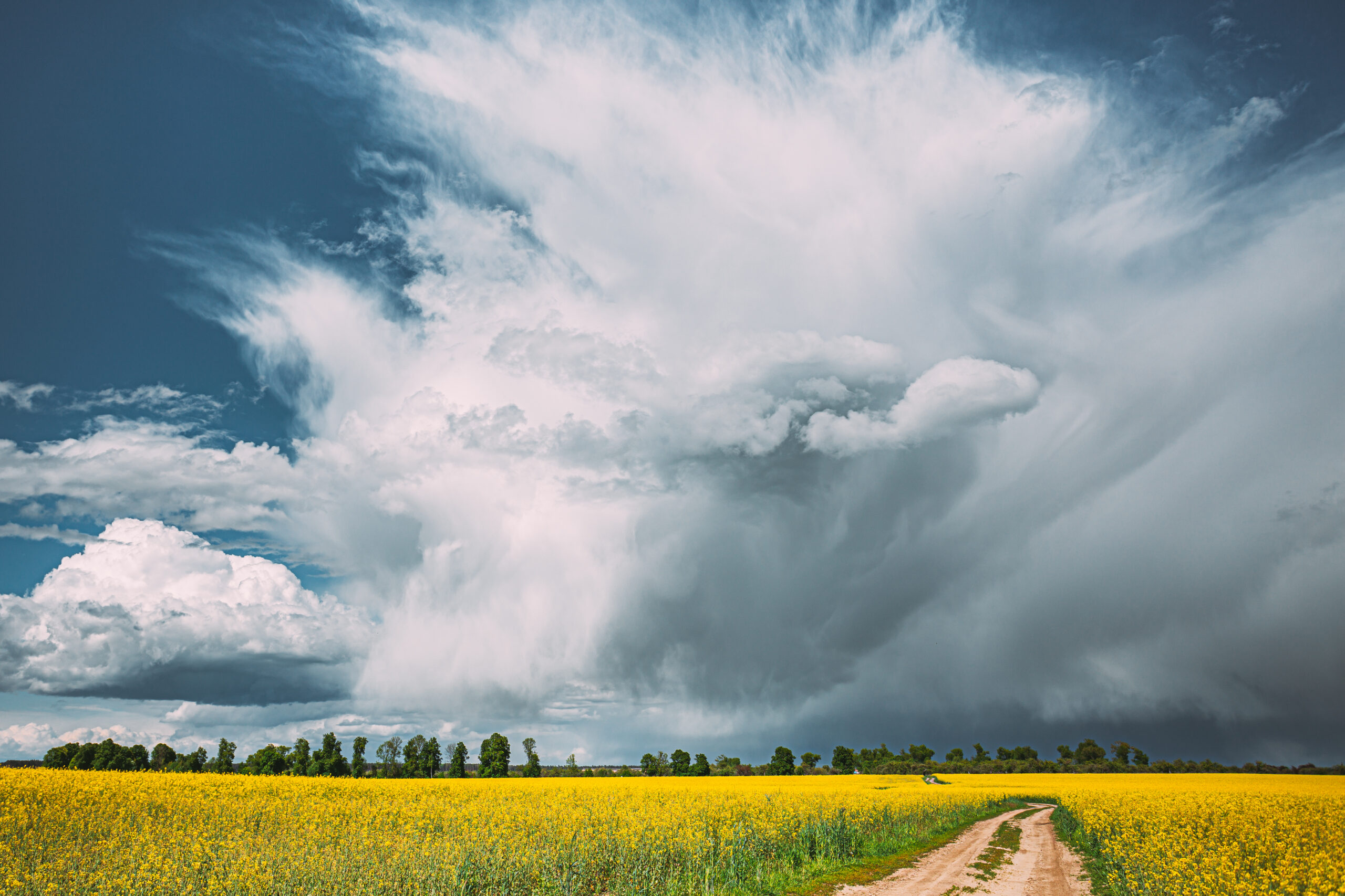 Ukraine Weather