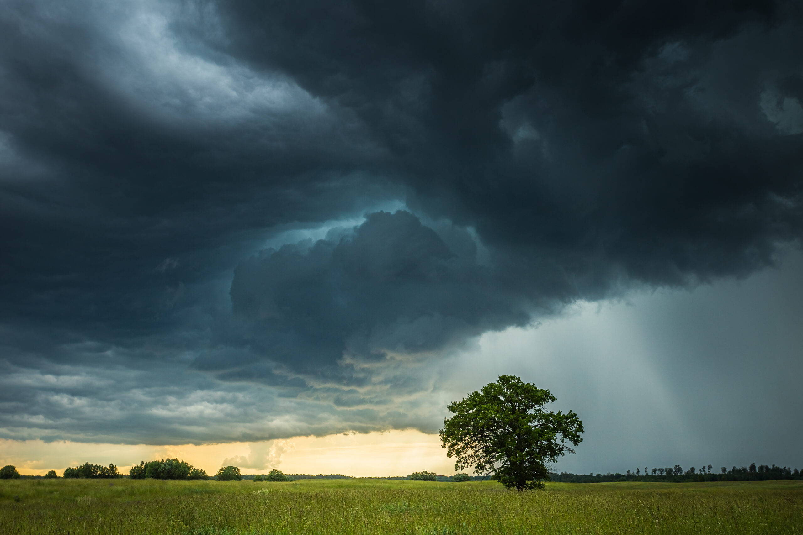 Weather