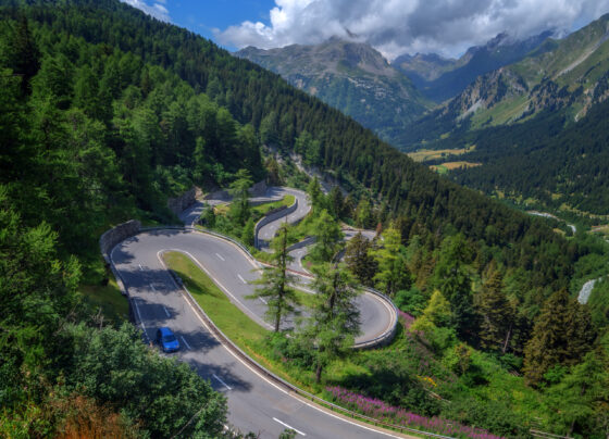 Alpine condemn Colapinto abuse and deny 'sabotage'