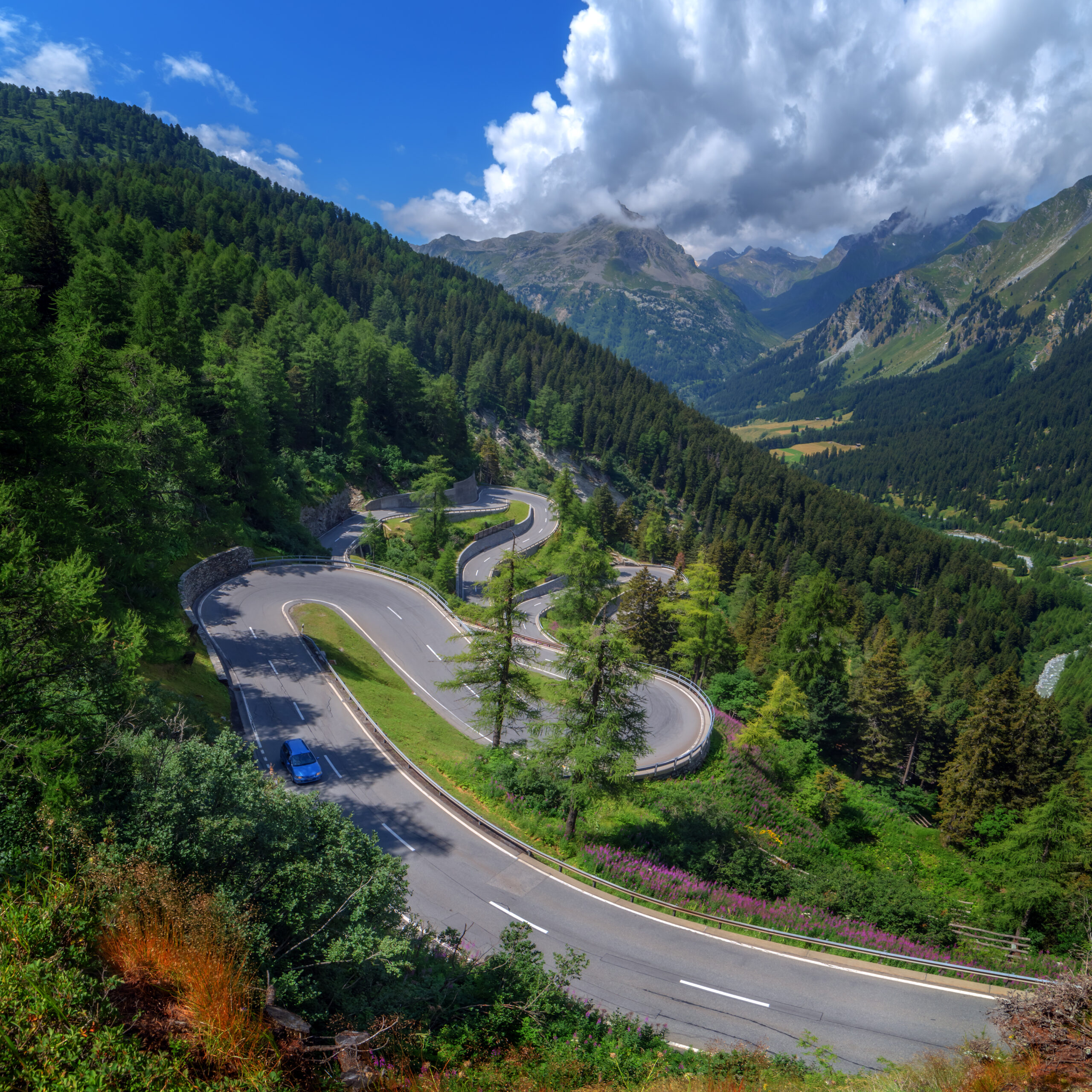 Alpine condemn Colapinto abuse and deny ‘sabotage’