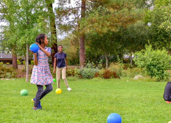 Bowls club seeks new members to keep it rolling