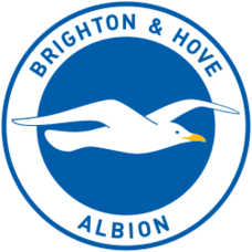 Brighton and Hove Albion News