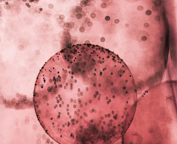 Do these common cough remedies actually work