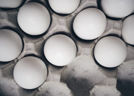 This is how our protein needs change as we age