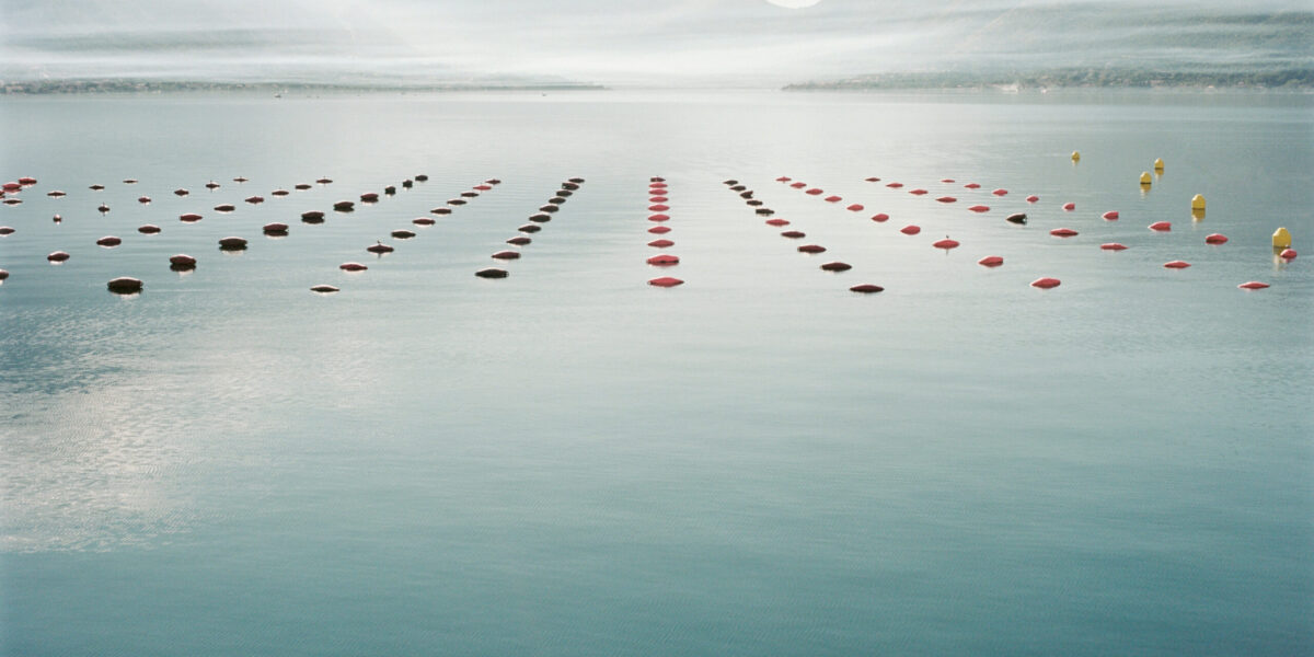 Water polo player's hopes for Olympic glory