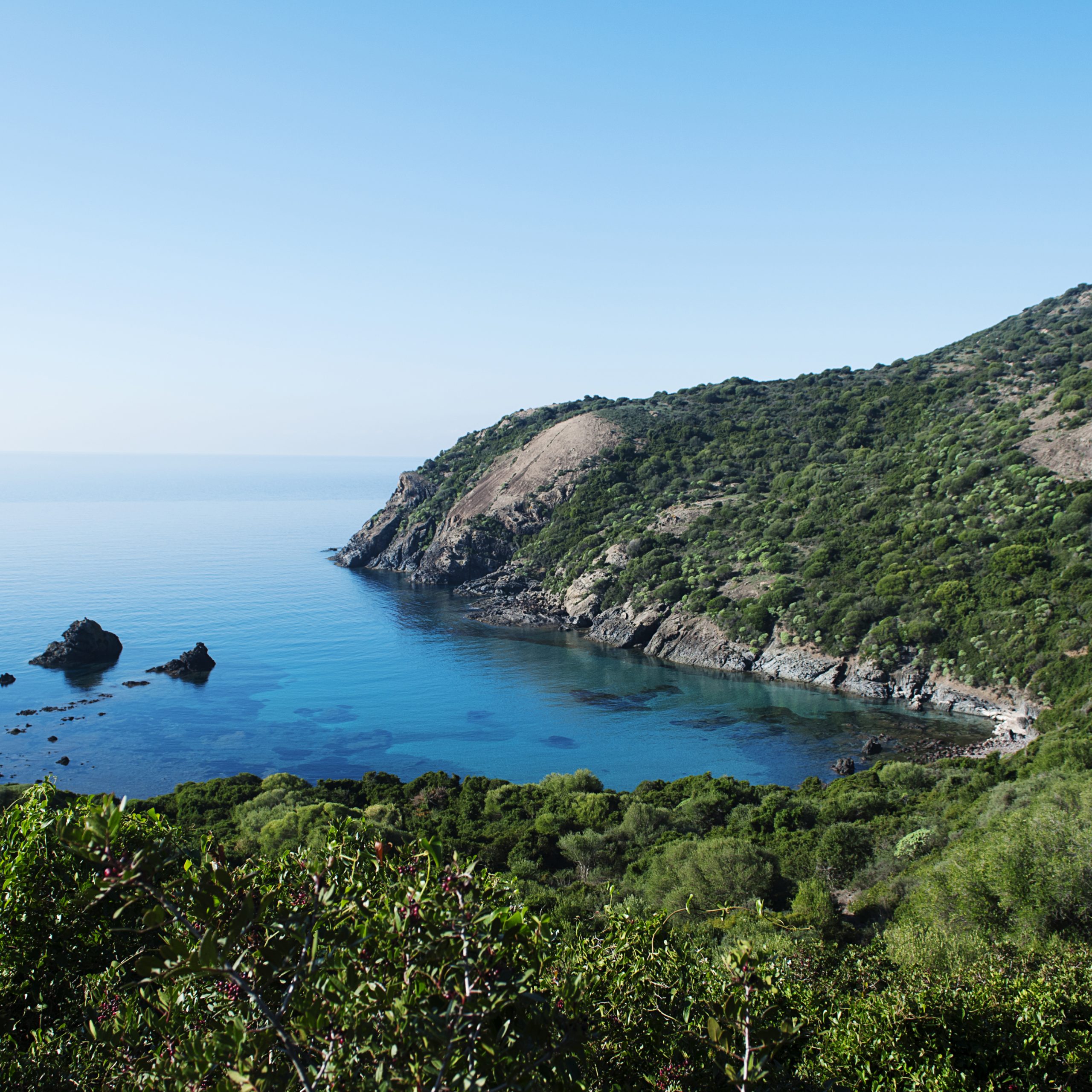 Mie