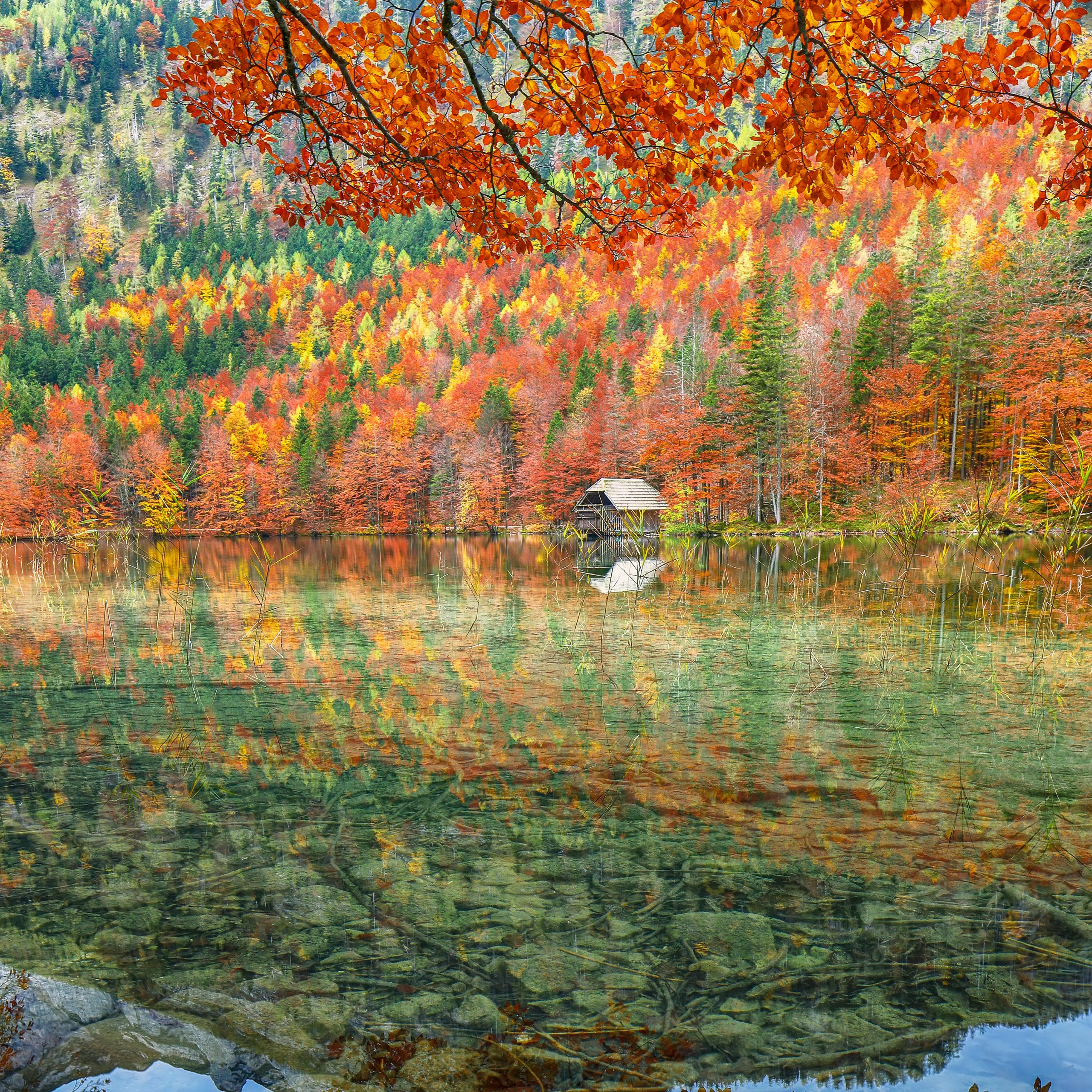 Yamaguchi